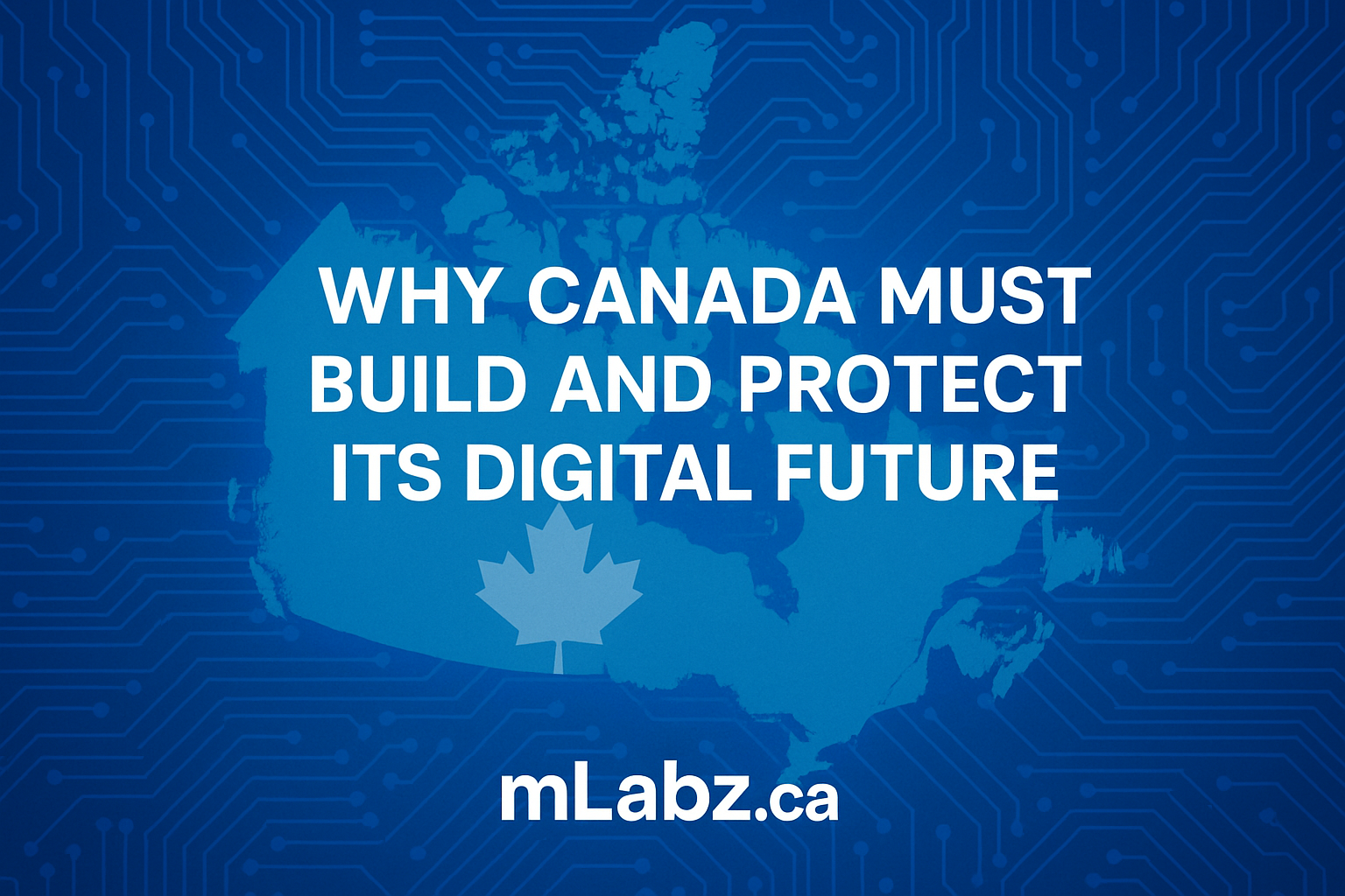 Canada's Digital Future